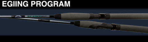 EGIING PROGRAM DART TRIAL